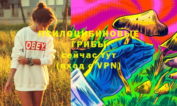 дурь Аркадак