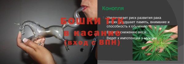 ПСИЛОЦИБИНОВЫЕ ГРИБЫ Сатка